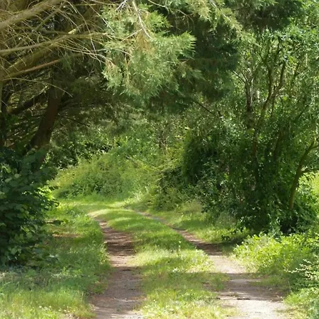 In Angers With Private Garden *