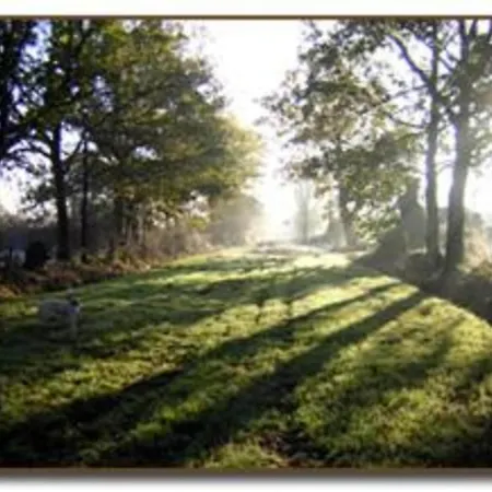 Feriehus Holiday Home In Angers With Private Garden Saint-Laurent-des-Mortiers