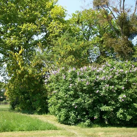 Holiday Home In Angers With Private Garden Saint-Laurent-des-Mortiers