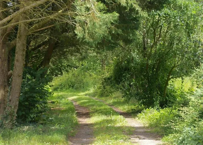 Holiday Home In Angers With Private Garden *