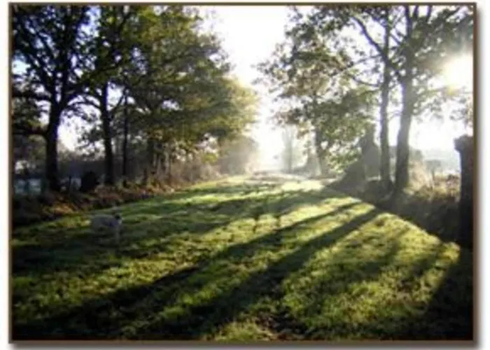 Feriehus Holiday Home In Angers With Private Garden Saint-Laurent-des-Mortiers