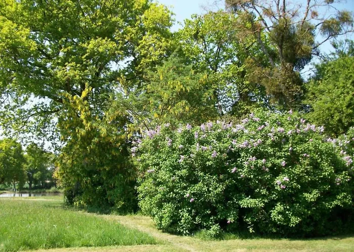 Holiday Home In Angers With Private Garden Saint-Laurent-des-Mortiers